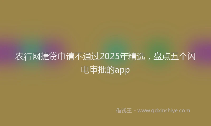 农行网捷贷申请不通过2025年精选，盘点五个闪电审批的app