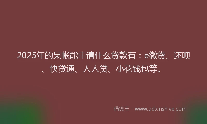 2025年的呆帐能申请什么贷款有：e微贷、还呗、快贷通、人人贷、小花钱包等。