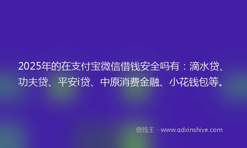 2025年的在支付宝微信借钱安全吗有：滴水贷、功夫贷、平安i贷、中原消费金融、小花钱包等。