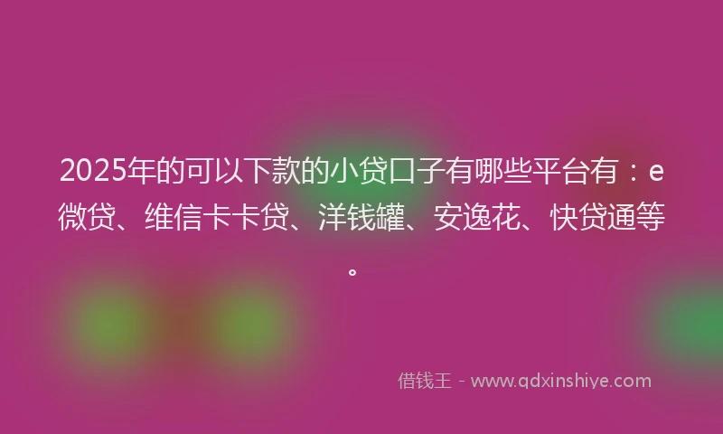 2025年的可以下款的小贷口子有哪些平台有：e微贷、维信卡卡贷、洋钱罐、安逸花、快贷通等。