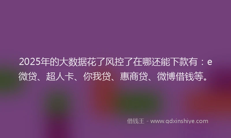 2025年的大数据花了风控了在哪还能下款有：e微贷、超人卡、你我贷、惠商贷、微博借钱等。