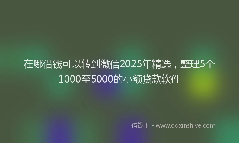 在哪借钱可以转到微信2025年精选，整理5个1000至5000的小额贷款软件