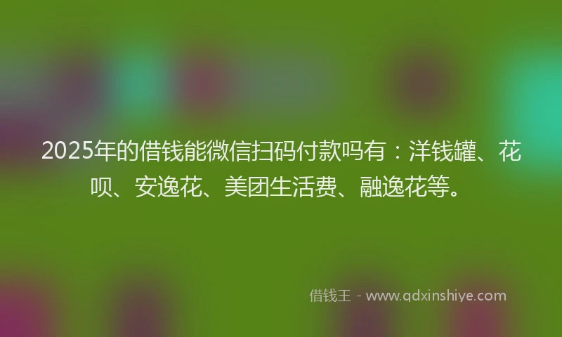 2025年的借钱能微信扫码付款吗有：洋钱罐、花呗、安逸花、美团生活费、融逸花等。