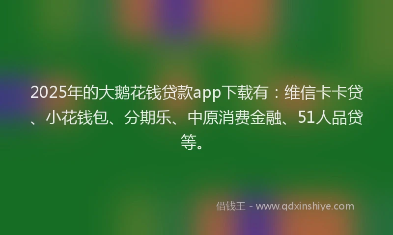 2025年的大鹅花钱贷款app下载有：维信卡卡贷、小花钱包、分期乐、中原消费金融、51人品贷等。