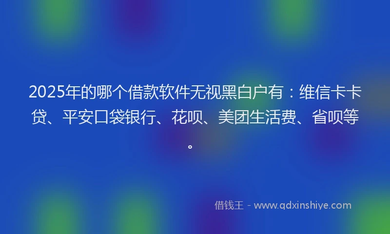 2025年的哪个借款软件无视黑白户有：维信卡卡贷、平安口袋银行、花呗、美团生活费、省呗等。