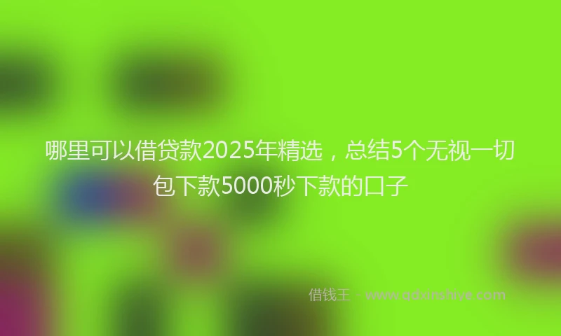 哪里可以借贷款2025年精选，总结5个无视一切包下款5000秒下款的口子