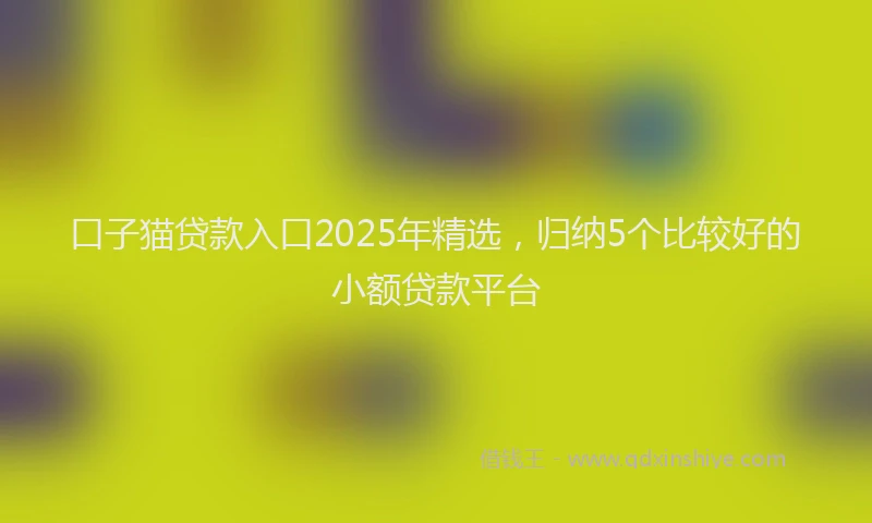 口子猫贷款入口2025年精选，归纳5个比较好的小额贷款平台