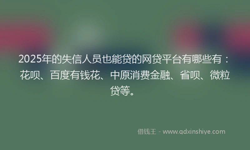 2025年的失信人员也能贷的网贷平台有哪些有：花呗、百度有钱花、中原消费金融、省呗、微粒贷等。