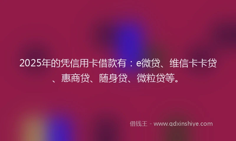 2025年的凭信用卡借款有：e微贷、维信卡卡贷、惠商贷、随身贷、微粒贷等。