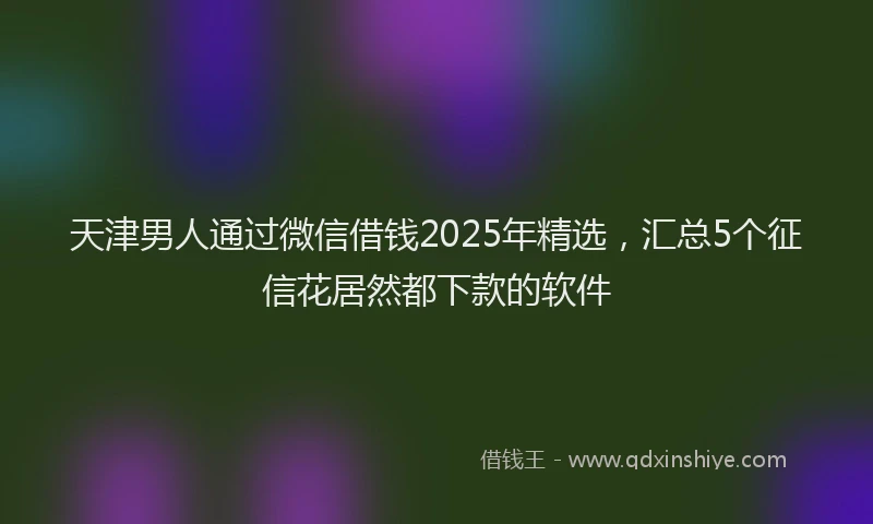 天津男人通过微信借钱2025年精选，汇总5个征信花居然都下款的软件