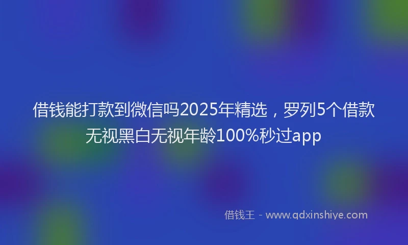借钱能打款到微信吗2025年精选，罗列5个借款无视黑白无视年龄100%秒过app