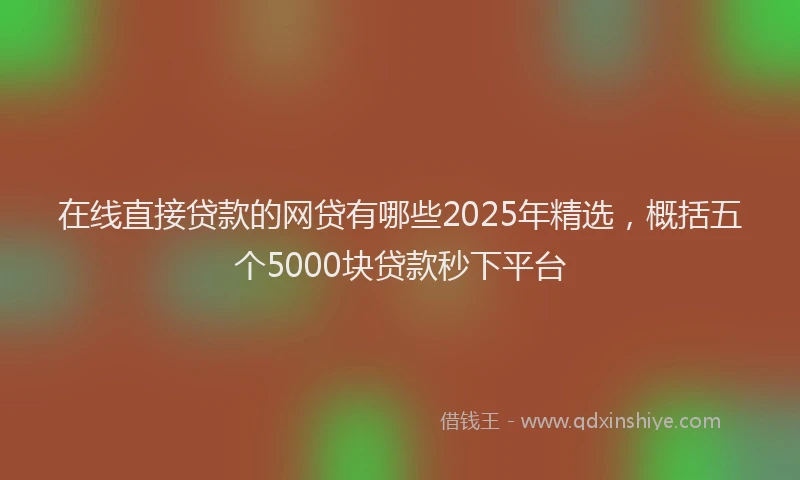 在线直接贷款的网贷有哪些2025年精选，概括五个5000块贷款秒下平台