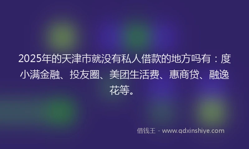 2025年的天津市就没有私人借款的地方吗有：度小满金融、投友圈、美团生活费、惠商贷、融逸花等。