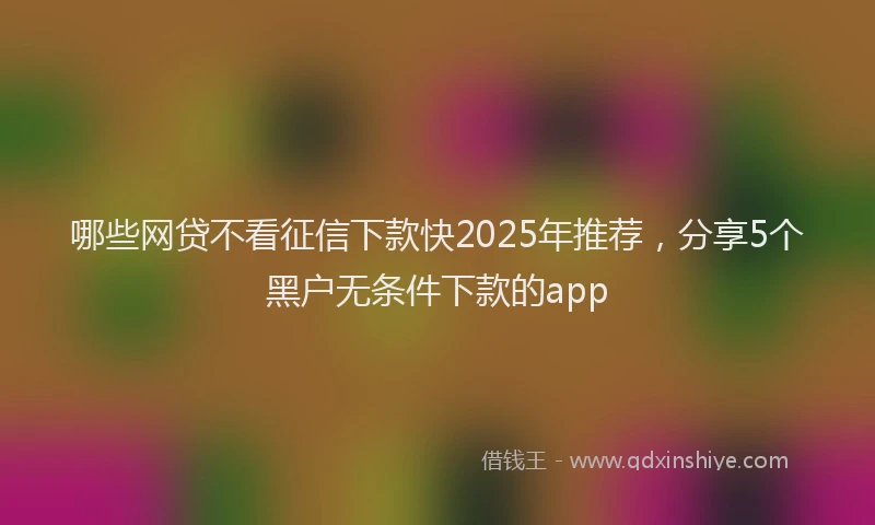 哪些网贷不看征信下款快2025年推荐，分享5个黑户无条件下款的app