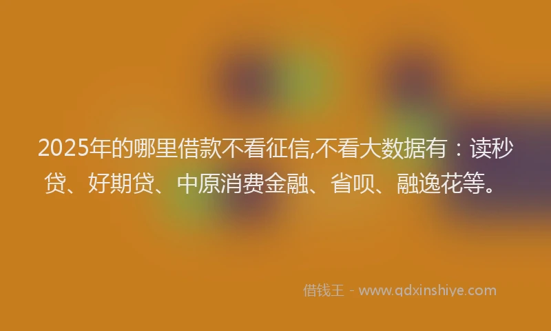 2025年的哪里借款不看征信,不看大数据有：读秒贷、好期贷、中原消费金融、省呗、融逸花等。