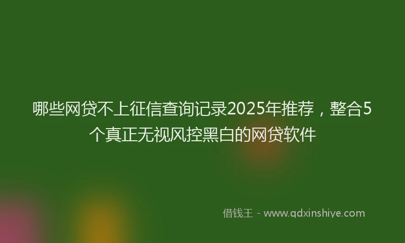 哪些网贷不上征信查询记录2025年推荐，整合5个真正无视风控黑白的网贷软件