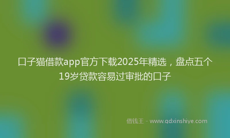 口子猫借款app官方下载2025年精选，盘点五个19岁贷款容易过审批的口子