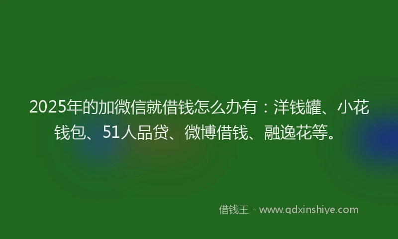 2025年的加微信就借钱怎么办有：洋钱罐、小花钱包、51人品贷、微博借钱、融逸花等。