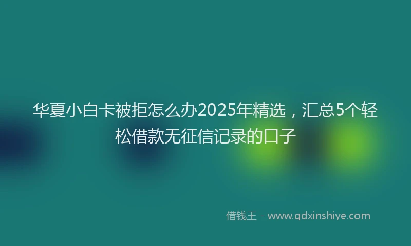 华夏小白卡被拒怎么办2025年精选，汇总5个轻松借款无征信记录的口子
