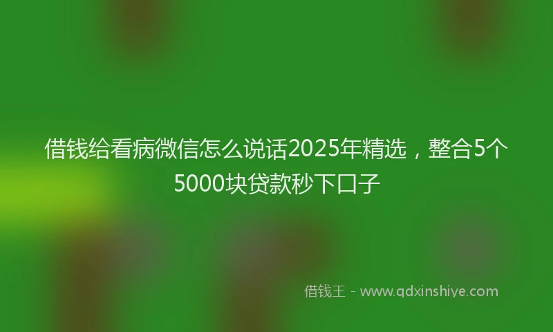 借钱给看病微信怎么说话2025年精选，整合5个5000块贷款秒下口子