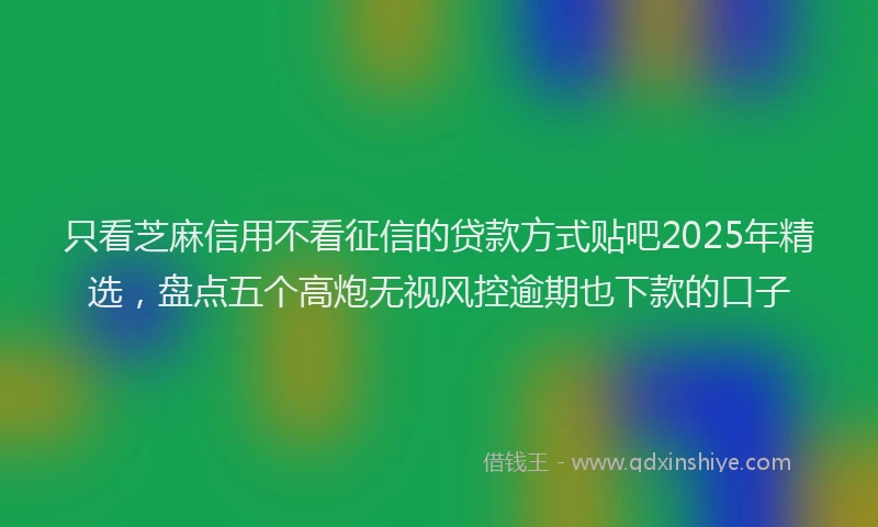 只看芝麻信用不看征信的贷款方式贴吧2025年精选，盘点五个高炮无视风控逾期也下款的口子