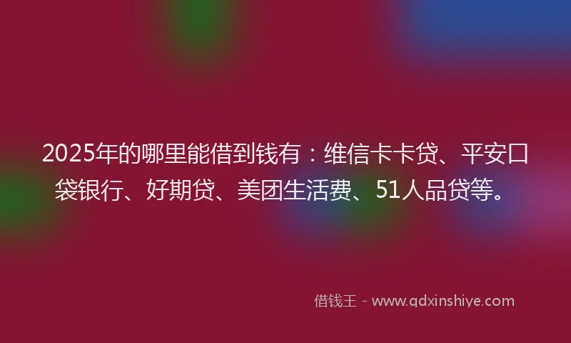 2025年的哪里能借到钱有：维信卡卡贷、平安口袋银行、好期贷、美团生活费、51人品贷等。