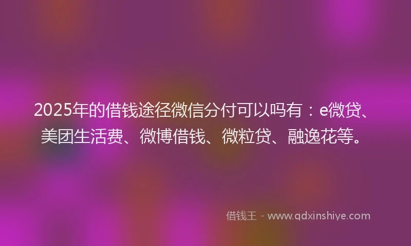 2025年的借钱途径微信分付可以吗有：e微贷、美团生活费、微博借钱、微粒贷、融逸花等。