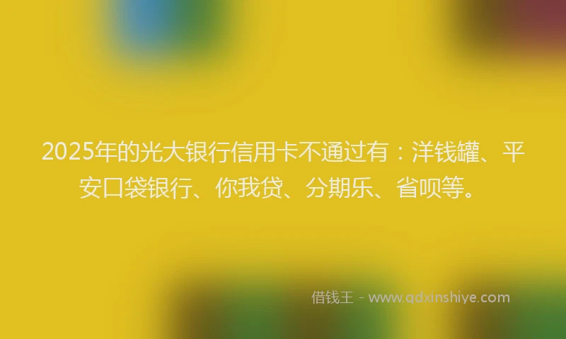2025年的光大银行信用卡不通过有：洋钱罐、平安口袋银行、你我贷、分期乐、省呗等。