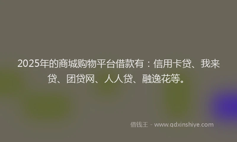 2025年的商城购物平台借款有：信用卡贷、我来贷、团贷网、人人贷、融逸花等。