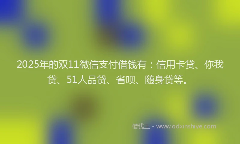2025年的双11微信支付借钱有：信用卡贷、你我贷、51人品贷、省呗、随身贷等。