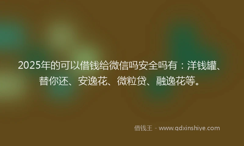 2025年的可以借钱给微信吗安全吗有：洋钱罐、替你还、安逸花、微粒贷、融逸花等。