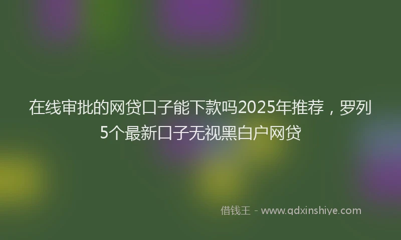 在线审批的网贷口子能下款吗2025年推荐，罗列5个最新口子无视黑白户网贷