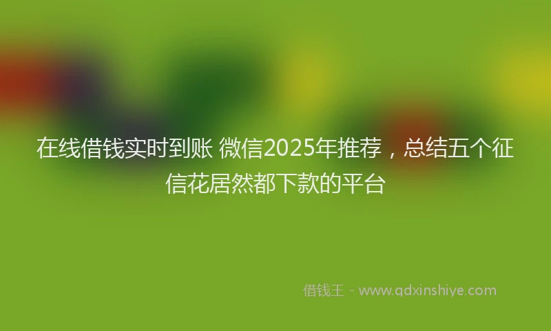 在线借钱实时到账 微信2025年推荐，总结五个征信花居然都下款的平台