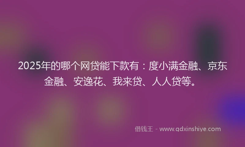 2025年的哪个网贷能下款有：度小满金融、京东金融、安逸花、我来贷、人人贷等。