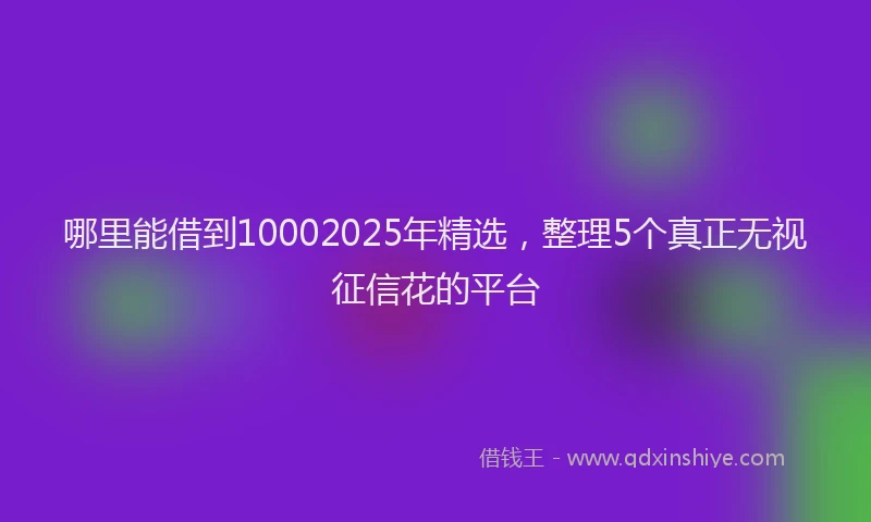 哪里能借到10002025年精选，整理5个真正无视征信花的平台