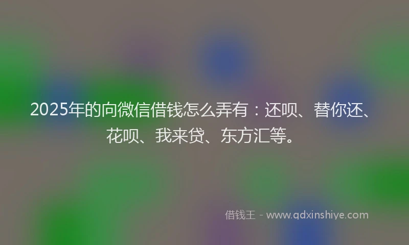 2025年的向微信借钱怎么弄有：还呗、替你还、花呗、我来贷、东方汇等。