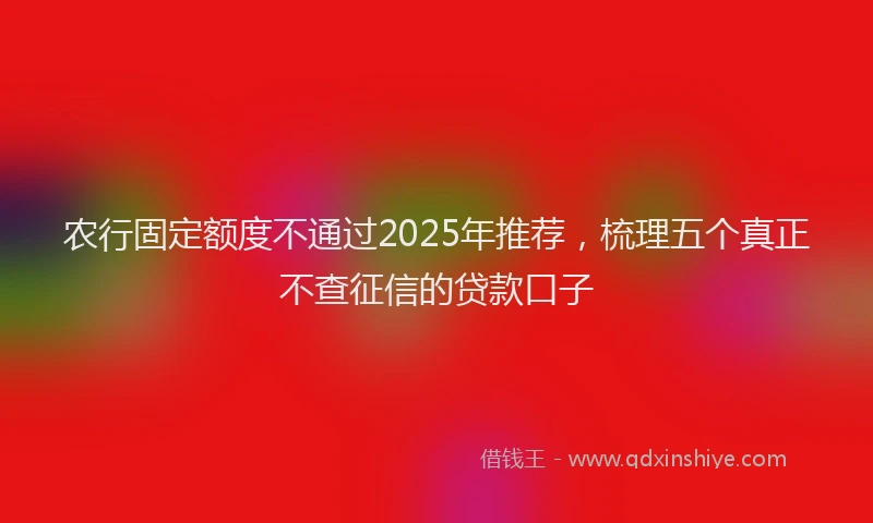 农行固定额度不通过2025年推荐，梳理五个真正不查征信的贷款口子