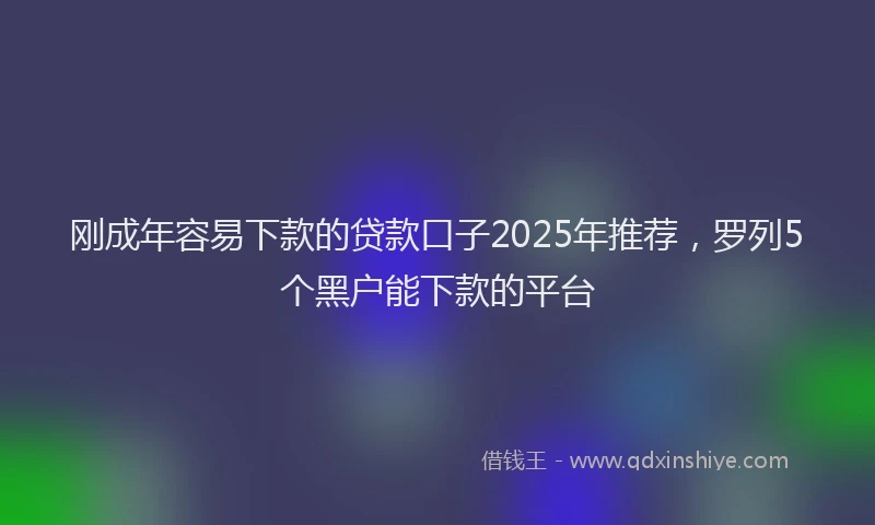 刚成年容易下款的贷款口子2025年推荐，罗列5个黑户能下款的平台