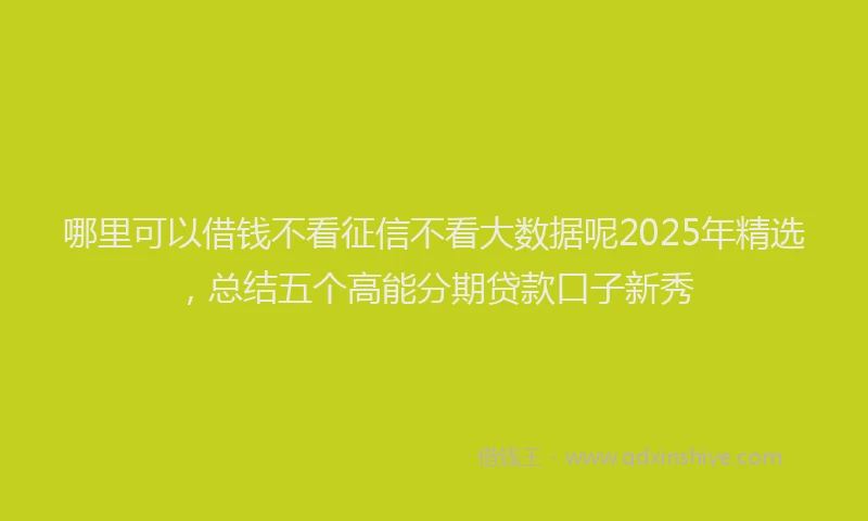 哪里可以借钱不看征信不看大数据呢2025年精选，总结五个高能分期贷款口子新秀