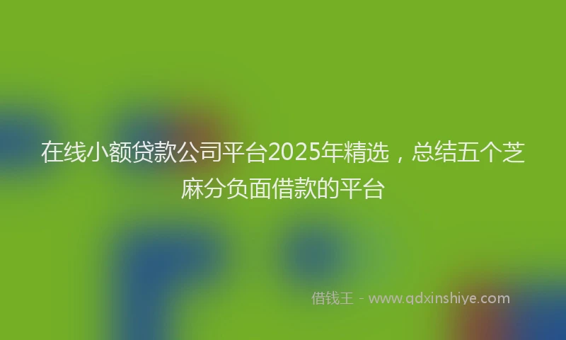 在线小额贷款公司平台2025年精选，总结五个芝麻分负面借款的平台