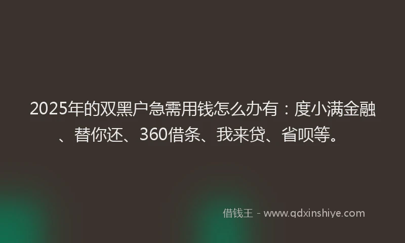2025年的双黑户急需用钱怎么办有：度小满金融、替你还、360借条、我来贷、省呗等。