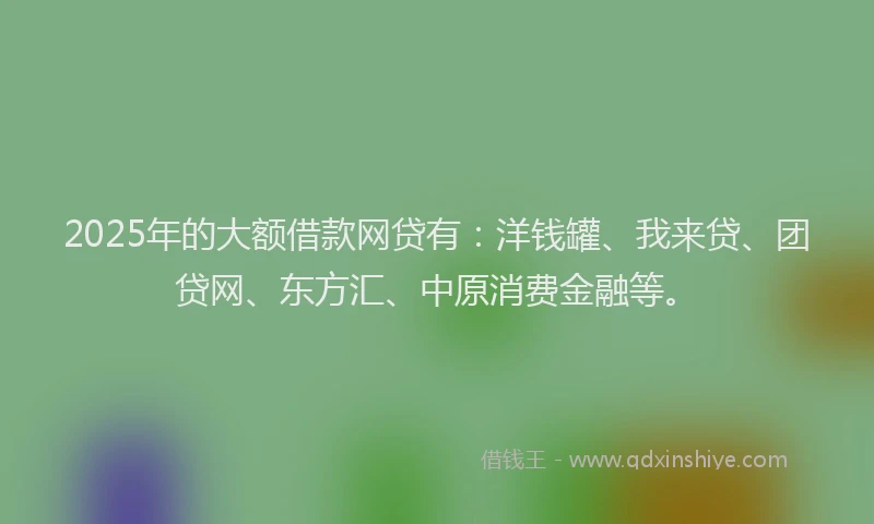 2025年的大额借款网贷有：洋钱罐、我来贷、团贷网、东方汇、中原消费金融等。