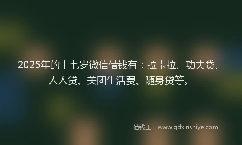 2025年的十七岁微信借钱有：拉卡拉、功夫贷、人人贷、美团生活费、随身贷等。
