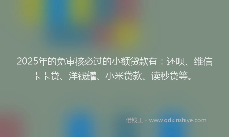 2025年的免审核必过的小额贷款有：还呗、维信卡卡贷、洋钱罐、小米贷款、读秒贷等。
