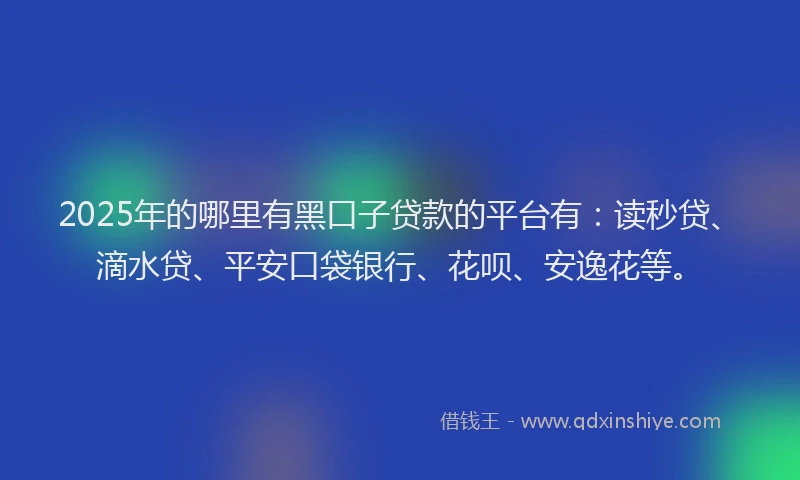 2025年的哪里有黑口子贷款的平台有：读秒贷、滴水贷、平安口袋银行、花呗、安逸花等。