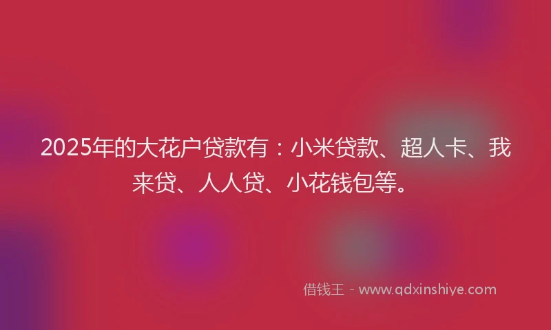 2025年的大花户贷款有：小米贷款、超人卡、我来贷、人人贷、小花钱包等。