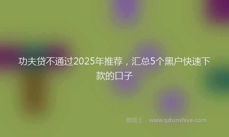 功夫贷不通过2025年推荐，汇总5个黑户快速下款的口子
