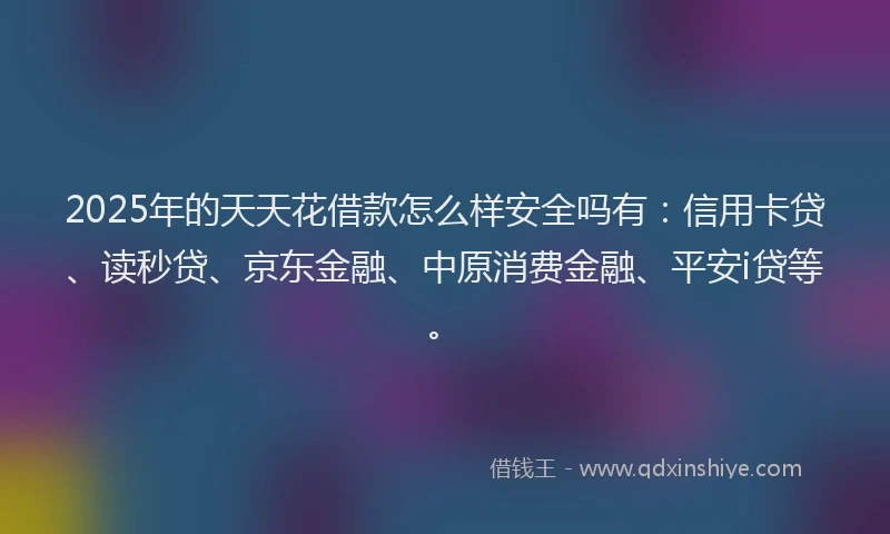 2025年的天天花借款怎么样安全吗有：信用卡贷、读秒贷、京东金融、中原消费金融、平安i贷等。
