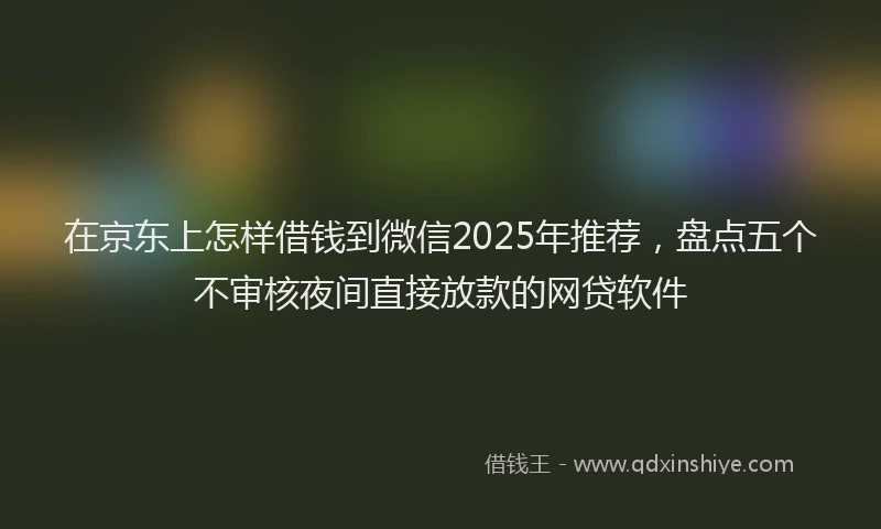 在京东上怎样借钱到微信2025年推荐，盘点五个不审核夜间直接放款的网贷软件
