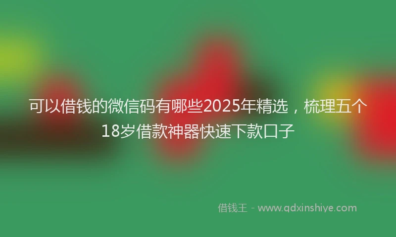 可以借钱的微信码有哪些2025年精选，梳理五个18岁借款神器快速下款口子